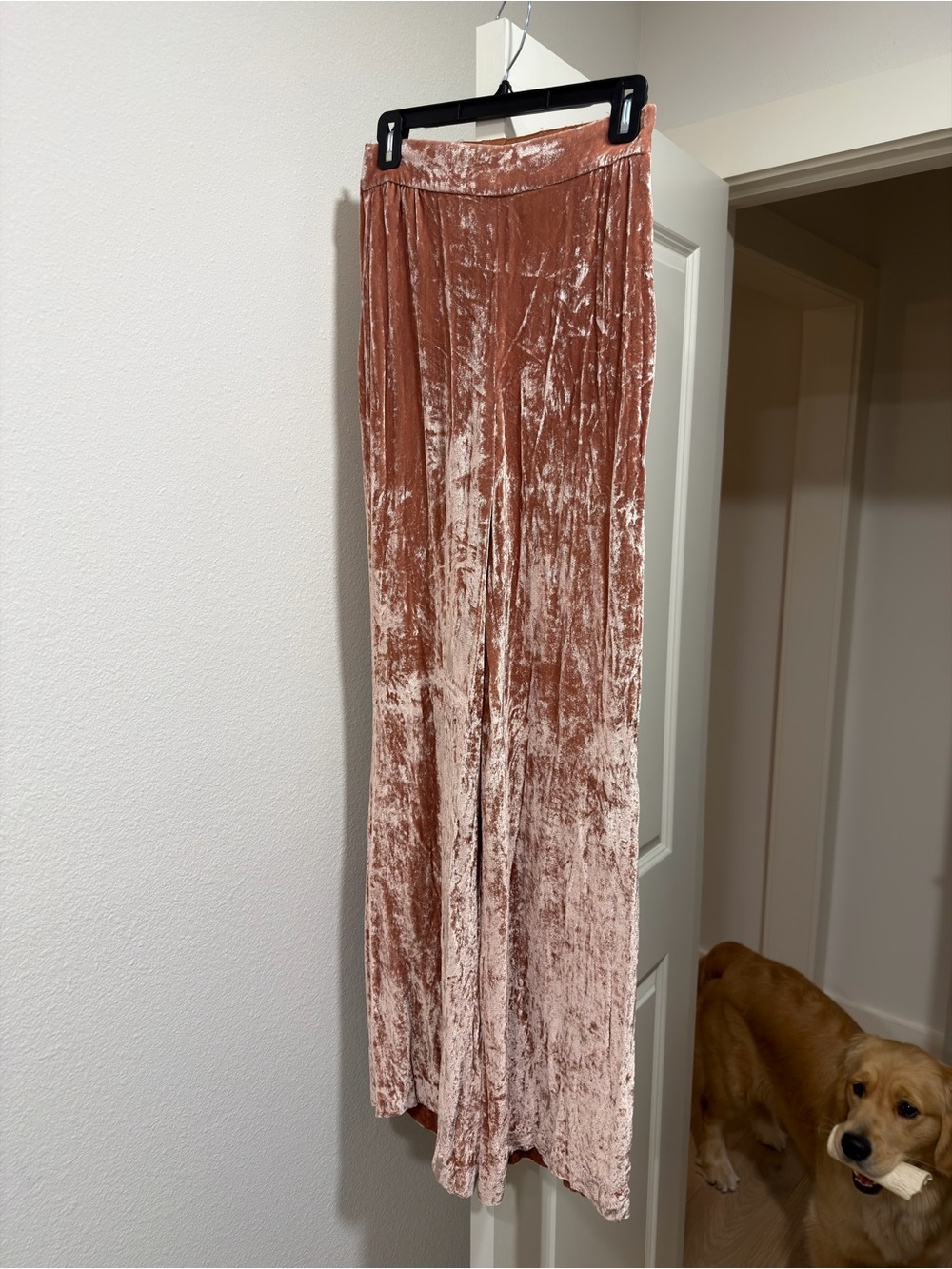 Alice + Olivia Burnt Orange Velvet Wide Leg Pants
